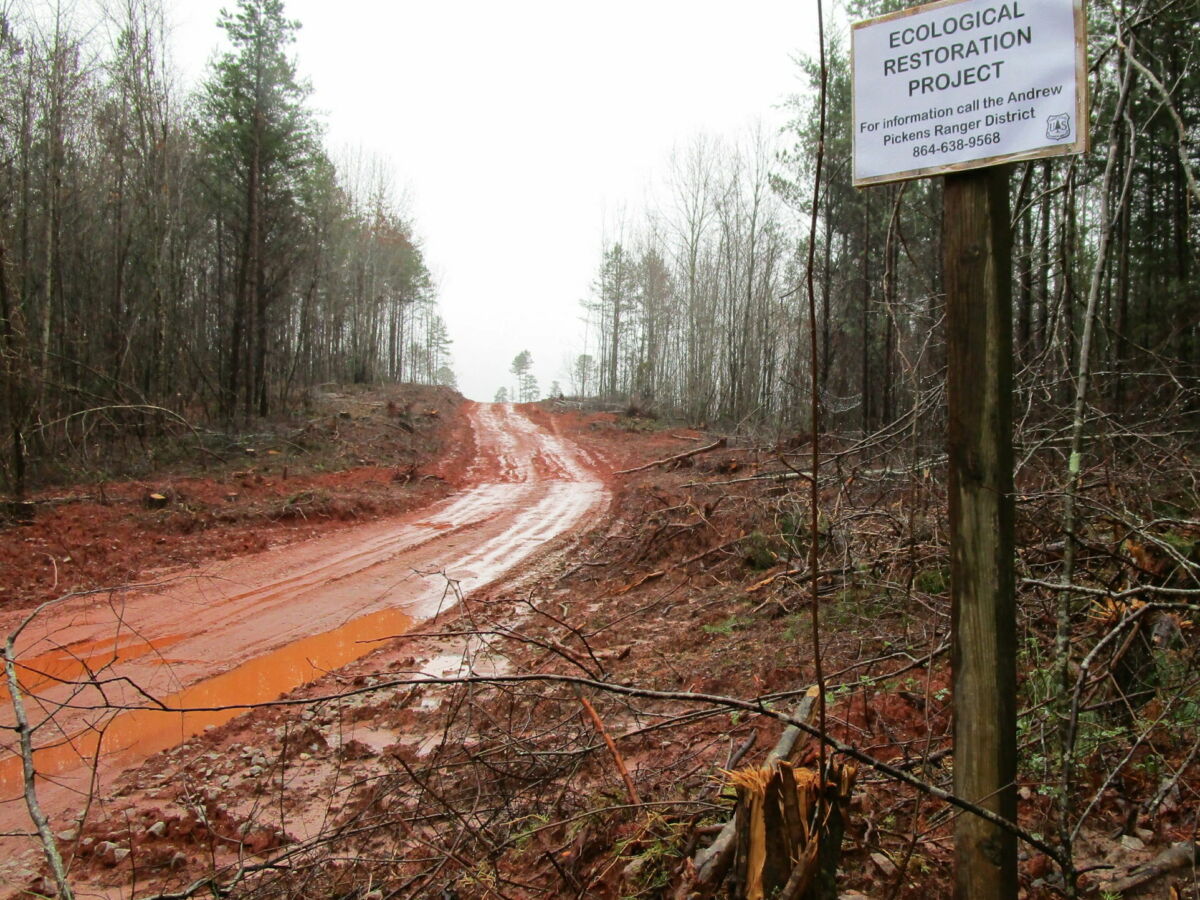 Turkey Ridge Rd. ecological restoration sign2020