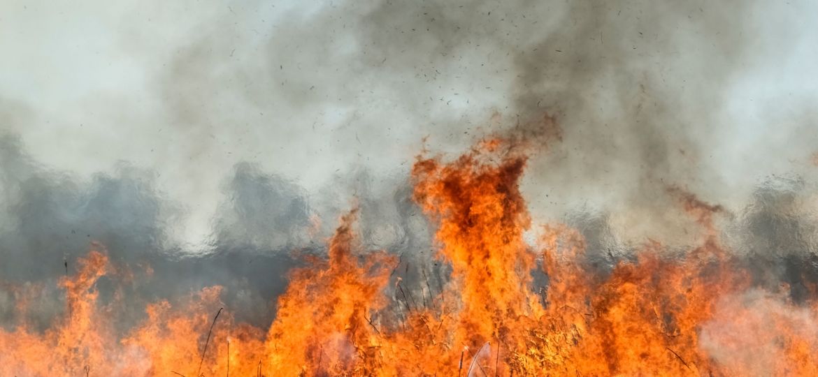 dry grass fire in early spring