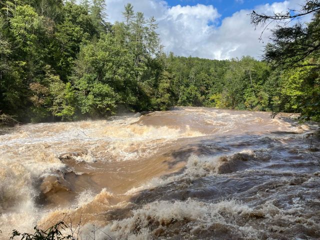 High Water Bull Nicole