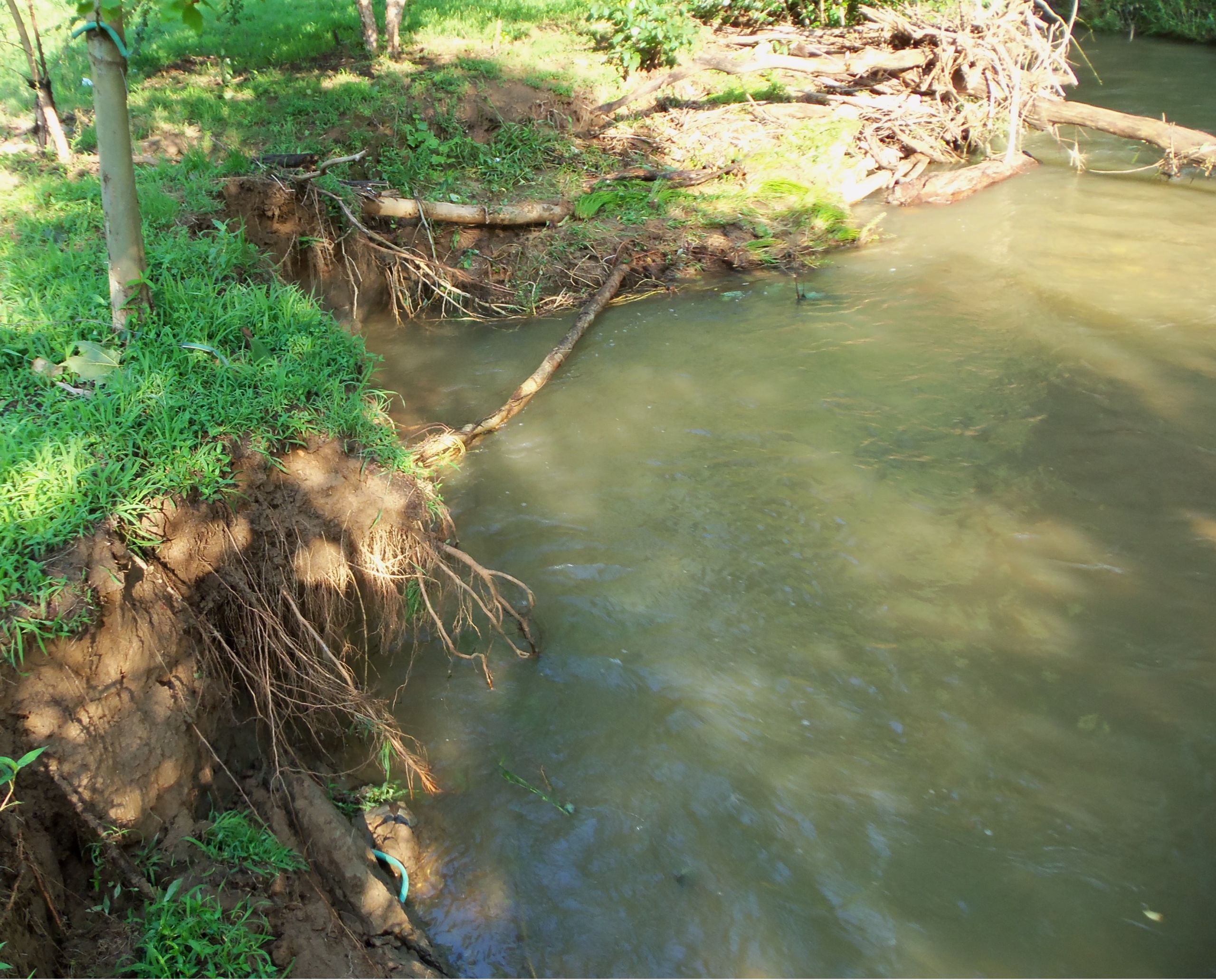 streambank erosion (1)