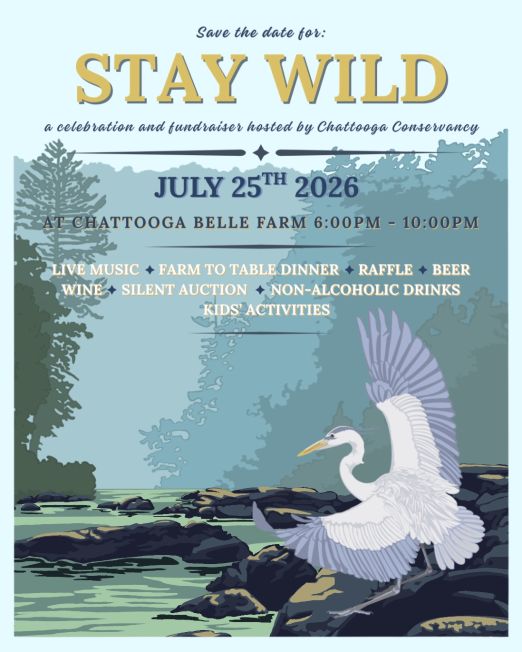 Stay Wild 2026 - Tickets