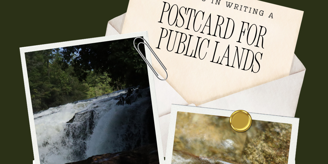 Night Market Postcard Event