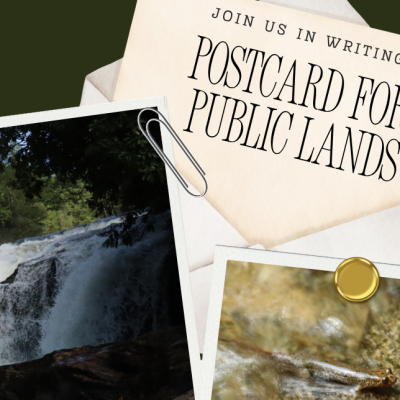 Night Market Postcard Event