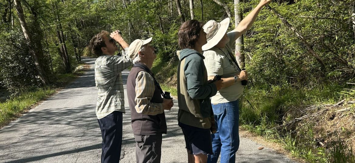 Bird Walk_4.18.26