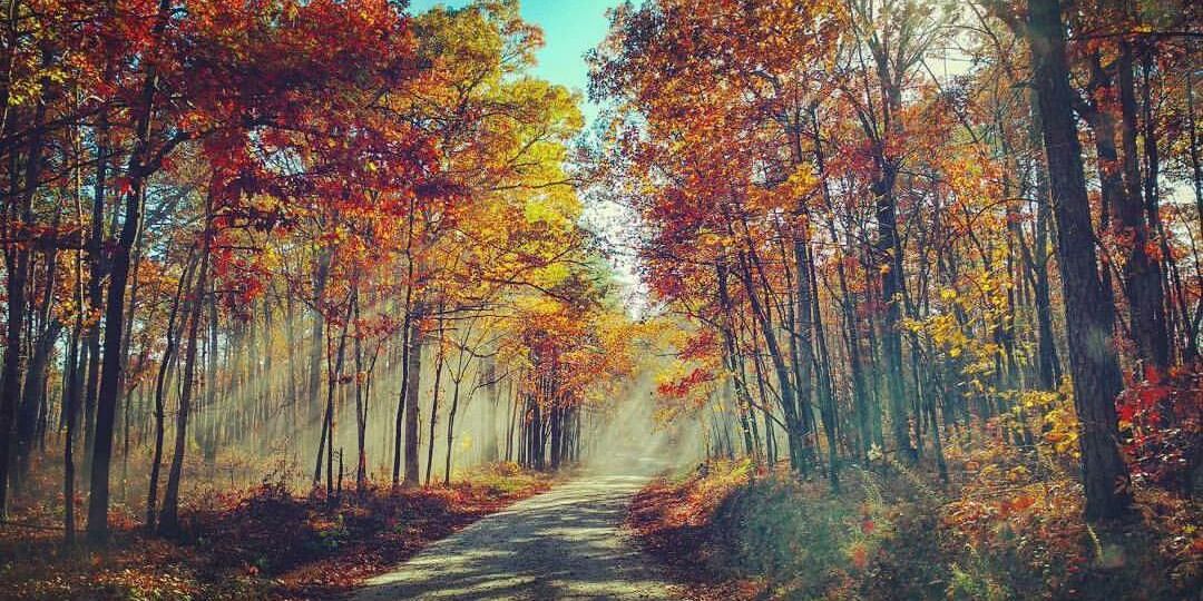 On the way to the river in Fall_Sibilio