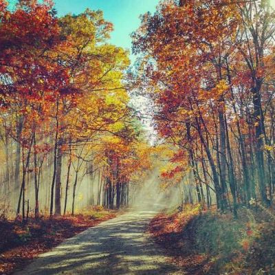 On the way to the river in Fall_Sibilio